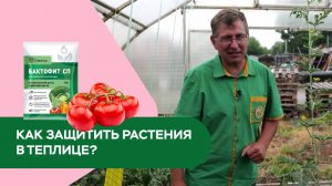 Как защитить растения в теплице