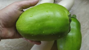 Какие на вкус зелёные спелые баклажаны? Пробуем зелёные и белые баклажаны