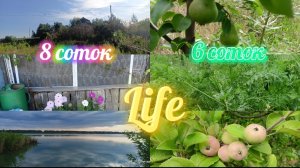 ПОБЫВАЛИ НА ДВУХ ЗАБРОШЕННЫХ ДАЧАХ//НАШ УРОЖАЙ НА 4 АВГУСТА// ПЕРЕЕЗЖАЕМ С 1-ОГО УЧАСТКА НА ДРУГОЙ