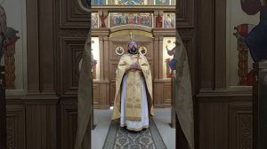 Чудесное насыщение 5000 человек. Невозможное человеку возможно Богу. Проповедь о. Андрея. 3.8.25