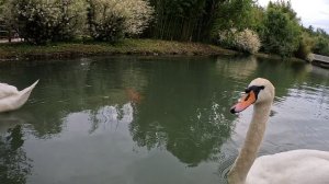 Парк Южные культуры