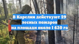 В Карелии действуют 29 лесных пожаров на площади около 1 630 га