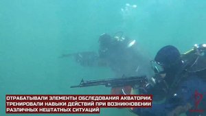 Водолазы СОБР «Викинг» Росгвардии отработали практические занятия в Калининградской области