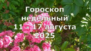 С 11 по 17 августа 2027 недельный гороскоп общий и для каждого знака