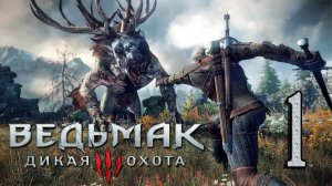 Ведьмак 3: Дикая Охота . Праздничный стрим всех с НОВЫМ ГОДОМ! #1