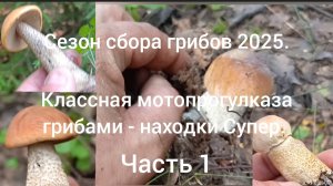 Сезон сбора грибов 2025. ( Супер Мото прогулка - грибы класс) Часть 1