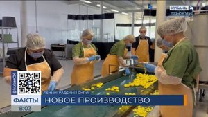 Производство очищенных овощей и готовых блюд запустили в Ленинградском округе