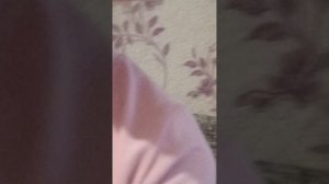 VID_20250803_185259.mp4 подралась за лп не кечюп