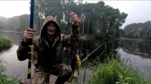 Хотел гальянов, а наловил карасей.