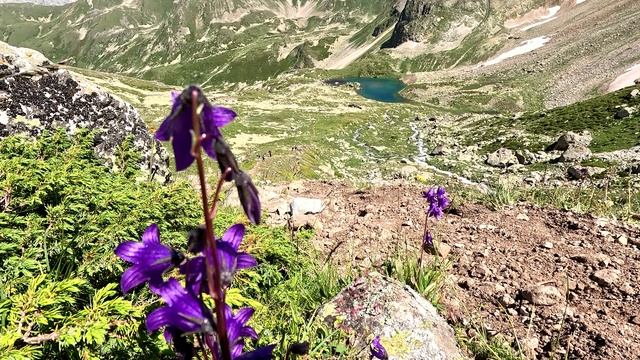 Кавказ 2025 клип смотреть онлайн