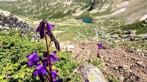 Кавказ 2025 клип