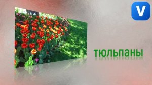 Урок 7.4. Инструменты для создания отражения и тени в 3D