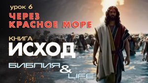 ЧЕРЕЗ КРАСНОЕ МОРЕ | УРОК 6