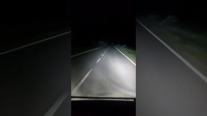 Все пройдет