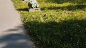 Сад камней в Апатитах