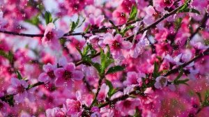 🌧️ Дождь и прекрасная природа