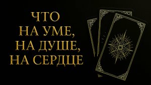 ЧТО У НЕГО НА УМЕ, НА ДУШЕ, НА СЕРДЦЕ?