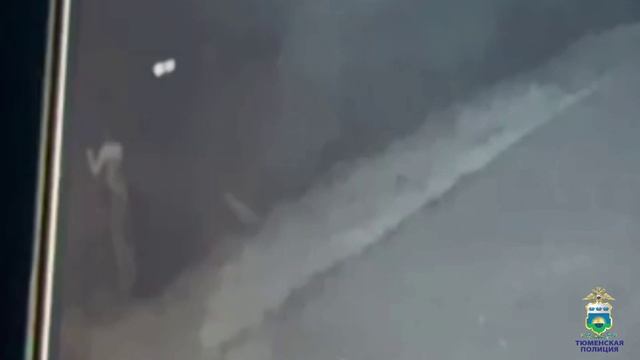 В Тюмени полицейские задержали подозреваемого в краже из частного дома смотреть онлайн