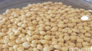 Индейка Принцесса на горошине