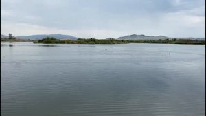 Большая тренировка