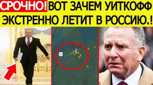 Срочно! Вот зачем Уиткофф экстренно летит к Путину. Названа цель визита спецпосланника Трампа в РФ