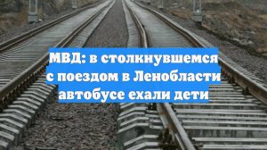 МВД: в столкнувшемся с поездом в Ленобласти автобусе ехали дети