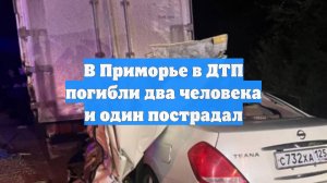 В Приморье в ДТП погибли два человека и один пострадал