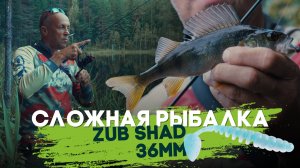Сложная рыбалка. ZUB SHAD 36mm.