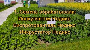Эффективность биопрепаратов "Нодикс" на сое. Опытный участок с/х выставки "Агроволга-2025"
