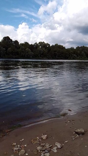 summer time смотреть онлайн