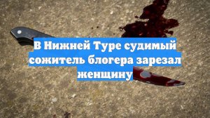 В Нижней Туре судимый сожитель блогера зарезал женщину