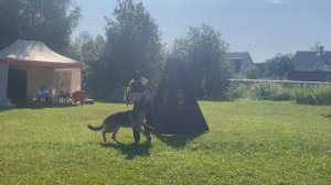 2 Отл. СС Тайм Сарынь ЦАЙРОН +++ №9. КЧК КОТЛАС 26 июля`25 Моно немецких овчарок