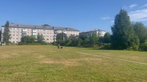 1 Отл. КЧК BLADE v. Team Panoniansee +++ №7. КЧК КОТЛАС 26 июля`25 Моно немецких овчарок