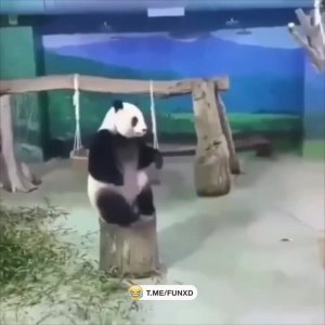 Немного не рассчитал😅