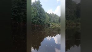 река нерская 2025.mp4