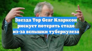 Звезда Top Gear Кларксон рискует потерять стадо из-за вспышки туберкулеза