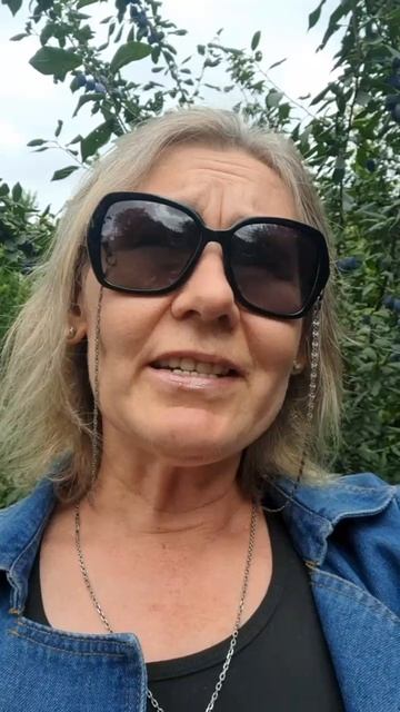 Отзыв клиента Елены Мещеряковойа о моей работе, как техспеца Геткурс смотреть онлайн