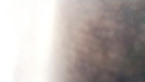 жизнь руслана