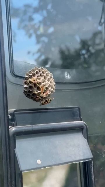 Незваные гости в электроустановке смотреть онлайн