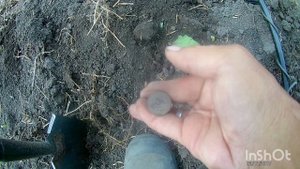 Хорошие находки на новом месте, коп по старине