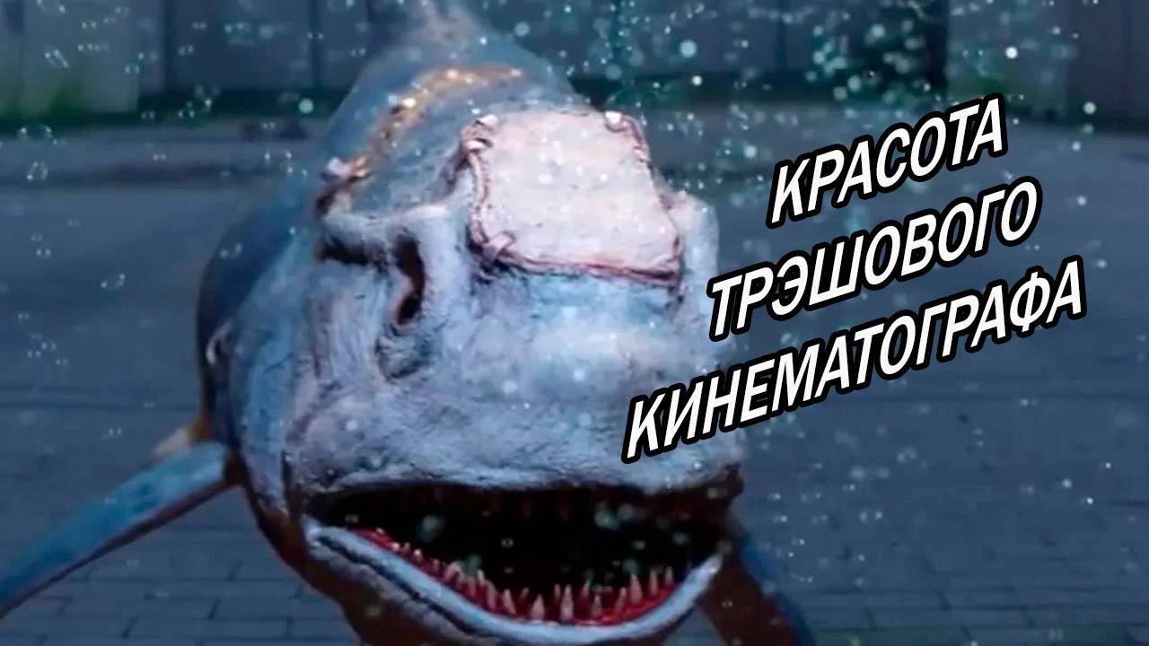 Красота трэшового кинематографа