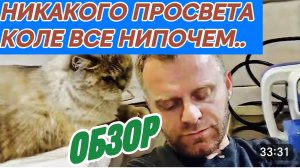 САМВЕЛ АДАМЯН, ПРОПАЛ С РАДАРОВ, ПРОПИСАЛСЯ В ВЕТКЛИНИКЕ, НАДЮХА ЧЕТКО ИДЕТ К СВОЕЙ ЦЕЛИ..