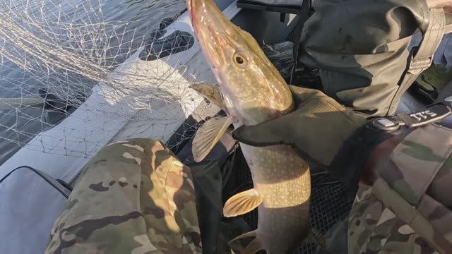 🔺️ВТОРОЙ ВЫЕЗД НА КИЮ 2025🔺️fishing#туризм#природа#ловля#рыбалка#щука#ловлящуки#ночевка#Чулым#