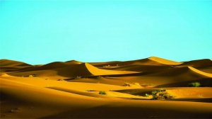 Сахих аль-Бухари, хадисы № 11-25. Фокус темы: ВЕРА (ИМАН)