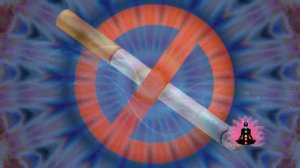 Гаряев-Матрицы.РФ__« ПРОТИВ КУРЕНИЯ » Программа №15 ⚠️ Оригинальная матрица Гаряева П П ☀️ SoftR