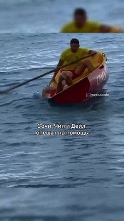 Чип и Дейл спешат на помощь #shorts