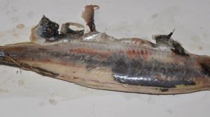 Форшмак классический