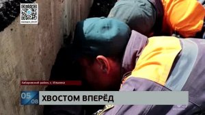 Тычками и уговорами: сотрудники МЧС спасли в Ильинке из водопропускной трубы застрявшую в ней собаку