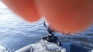 Один набор пойман, другой такой же сошёл. Рыбалка на Волге.