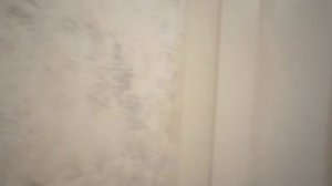 VID-20250804-WA0038(0).mp4